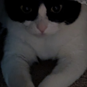 Fundraising Page: Lara Raney